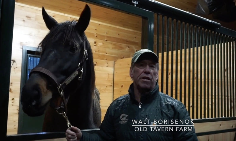 Foal Patrol Season 3: Introduction Alpine Sky in foal to More Than Ready. Expected foaling date of April 21, 2020.