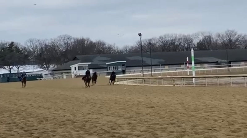 OTF Racing: Up For Adventure & Seahorse d'Oro breezing from the gate at Belmont.