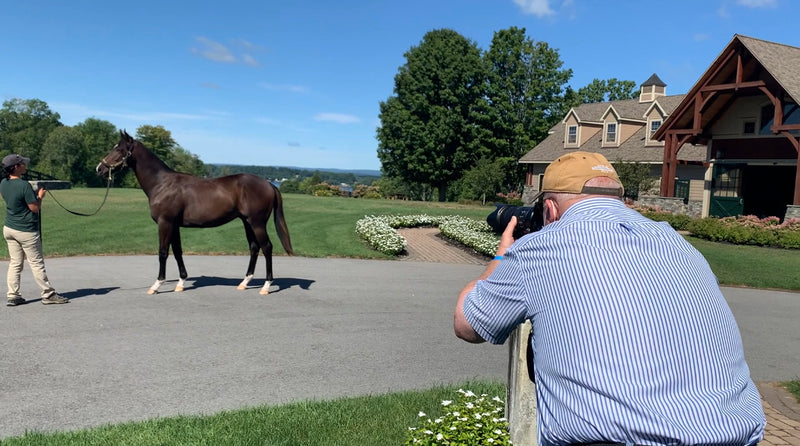 Docuseries: Road to the Yearling Sale, Episode 3