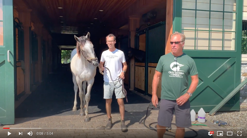 Docuseries: Road to the Yearling Sale, Episode 2