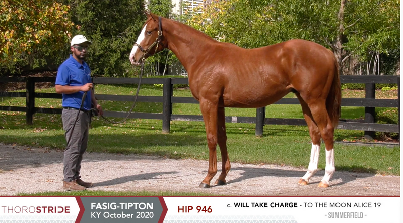 Fasig-Tipton Kentucky October Sale | Hip 946 | Colt | Will Take Charge x To The Moon Alice | Consigned by Summerfield Sales