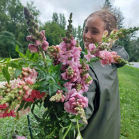 OTFF: Summer Flower Subscription