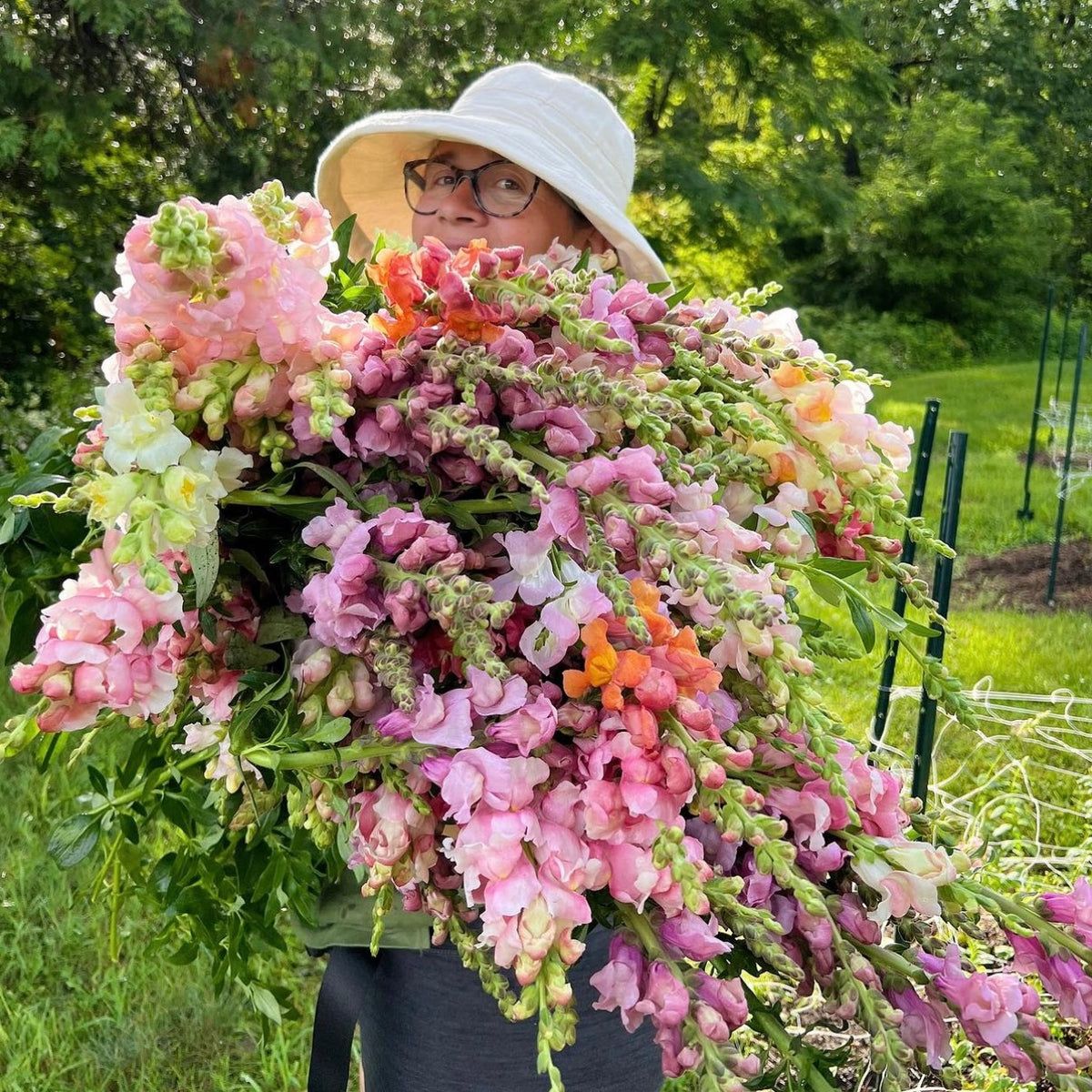 OTFF: Summer Flower Subscription