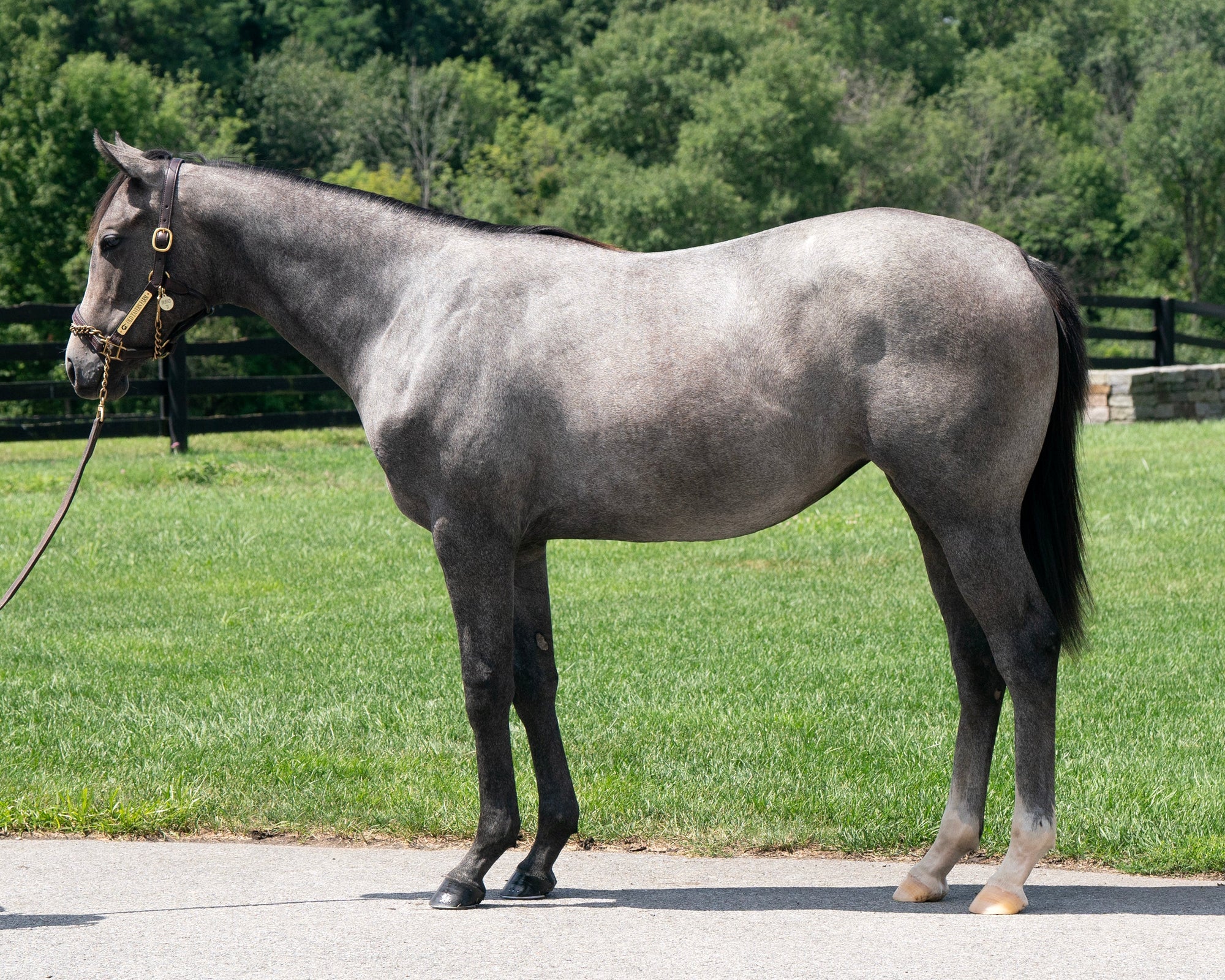 Liam's Map X Uplifted – Old Tavern Farm