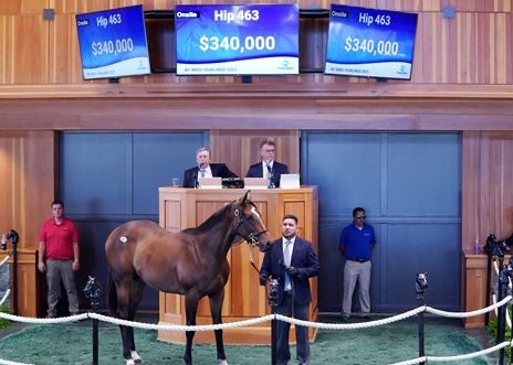 Munnings Filly Tops Old Tavern Farms' Offerings at F-T