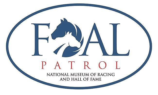 Watch Live! Foal Patrol Season 3