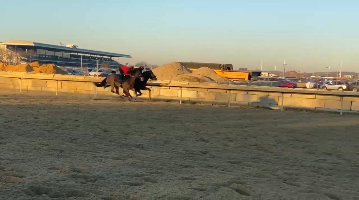 OTF Racing: Seahorse D’Oro (Bodemeister—Memento d’Oro) worked 4f in 49.1 on 12/27 at Belmont. She’s on the inside rail. Trained by Ray Handal