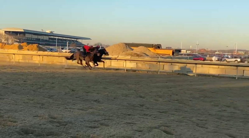 OTF Racing: Seahorse D’Oro (Bodemeister—Memento d’Oro) worked 4f in 49.1 on 12/27 at Belmont. She’s on the inside rail. Trained by Ray Handal