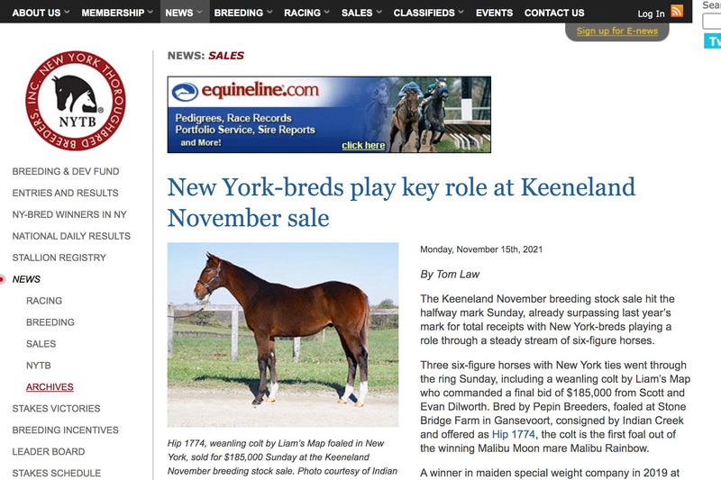 New York-breds play key role at Keeneland November sale
