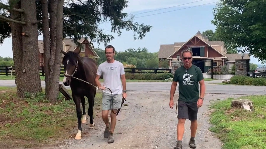 Docuseries: Road to the Yearling Sale, Episode 1