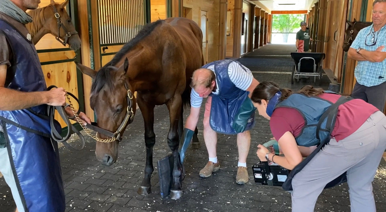 Docuseries: Road to the Yearling Sale, Episode 4