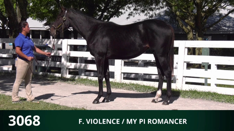 Keeneland September Yearling Sale | Hip 3068 | Filly | Violence x My Pi Romancer | Consigned by Summerfield Sales