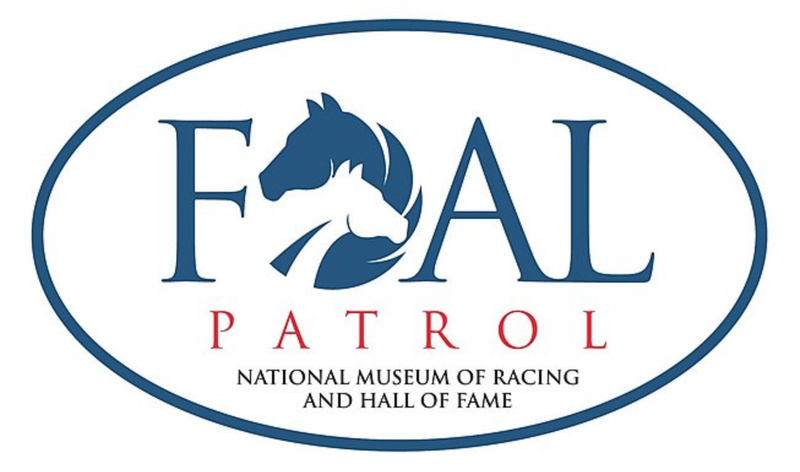 Foal Patrol Season 5 Launch
