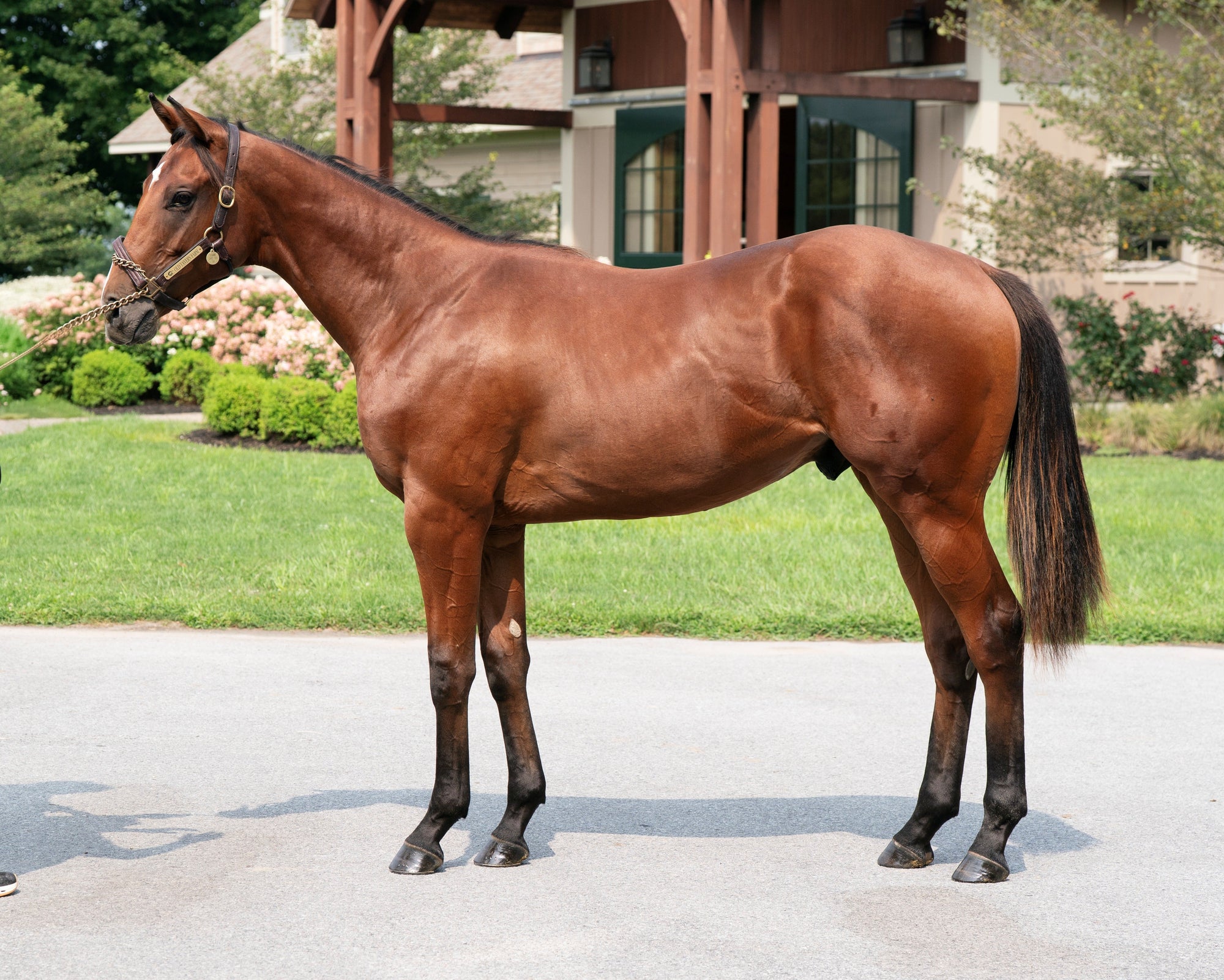 Audible X Comme Chez Soi