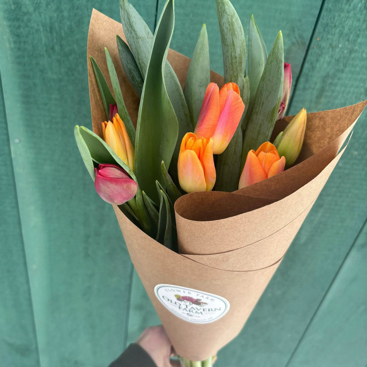 OTFF: Signature Winter Tulip Bouquet