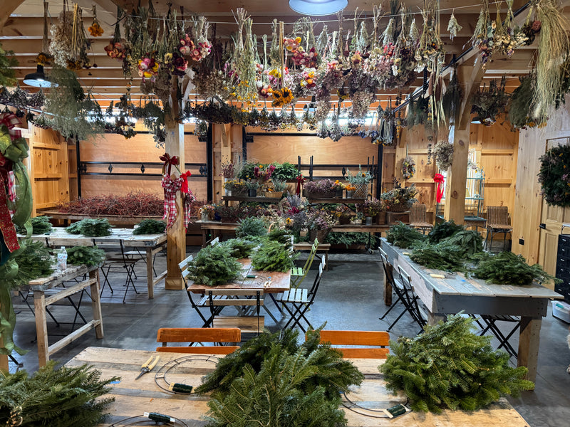 Winter Workshops: Holiday Wreath Making (Thursday, Dec. 10th, Evening)