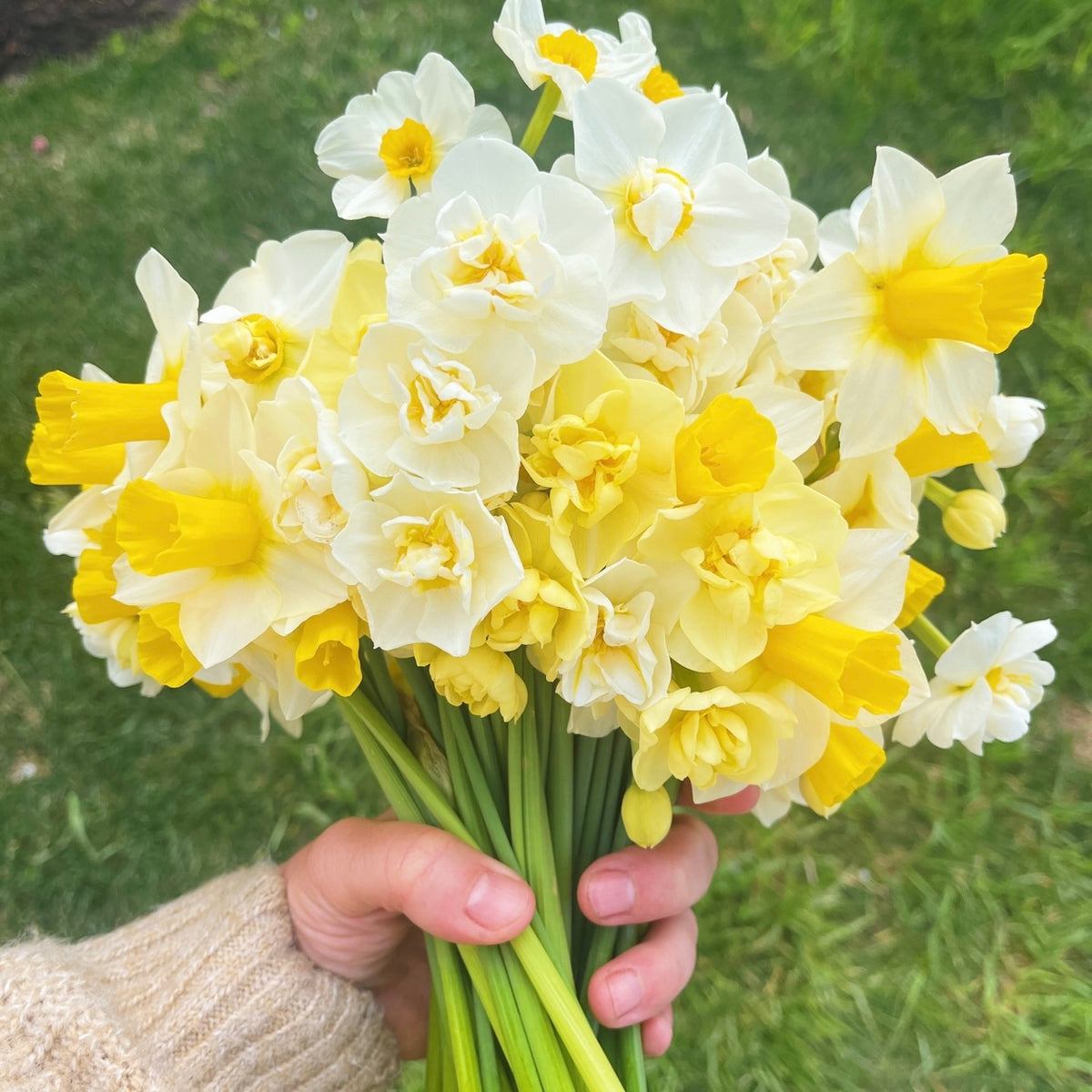 OTFF: Spring Flower Subscription: (May 2025, 4 weeks, weekly)