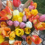 OTFF: Spring Flower Subscription: (May 2024, 4 weeks, weekly)