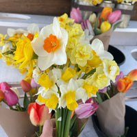 OTFF: Spring Flower Subscription: (May 2025, 4 weeks, weekly)