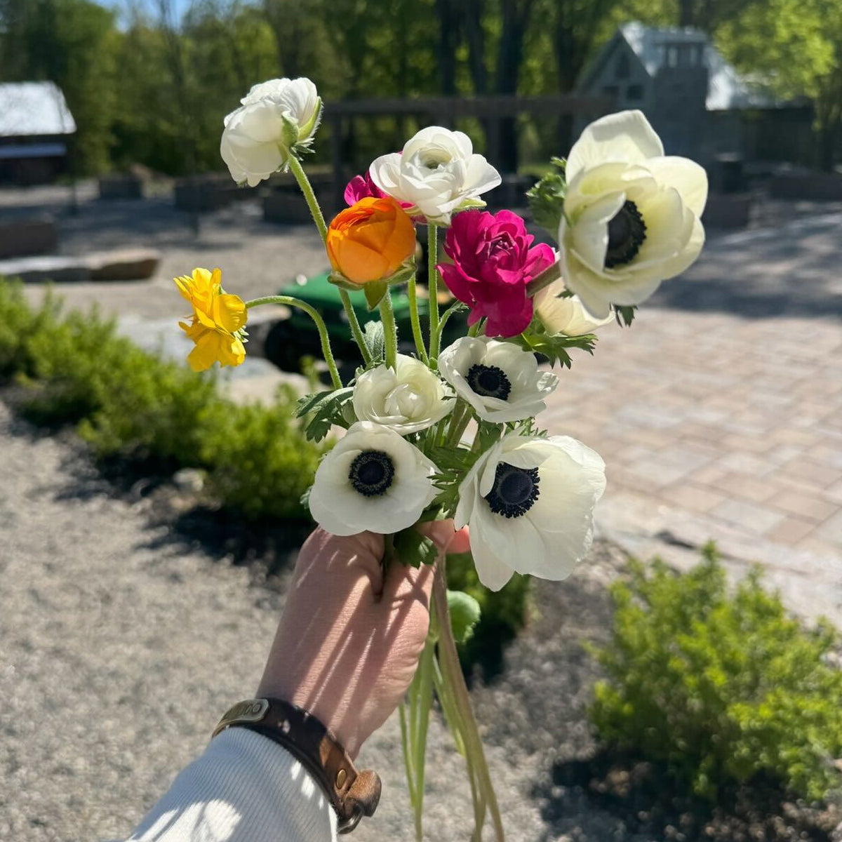 OTFF: Spring Bouquet Subscription – Old Tavern Farm