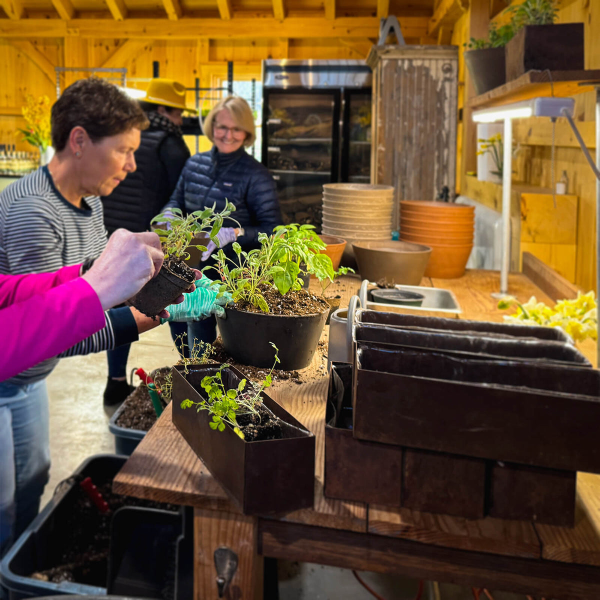 Spring Workshop: Kitchen Herb Garden (Wednesday, Apr. 15)