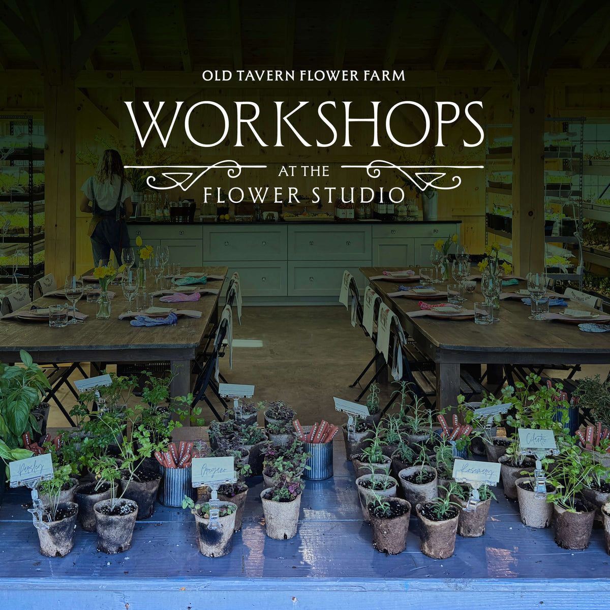 Spring Workshop: Kitchen Herb Garden (Wednesday, Apr. 15)