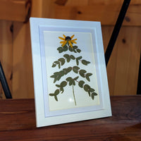 Old Tavern Flower Farm Pressed Floral Art Frame