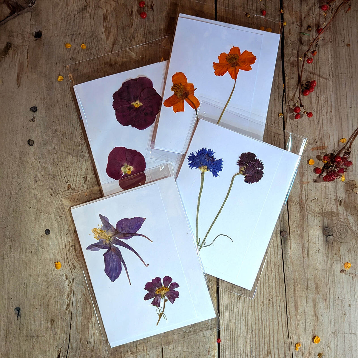 OTFF: Pressed Floral Greeting Card 4-Pack