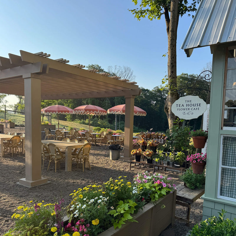Yoga at the Tea House (Friday, Jul. 17)